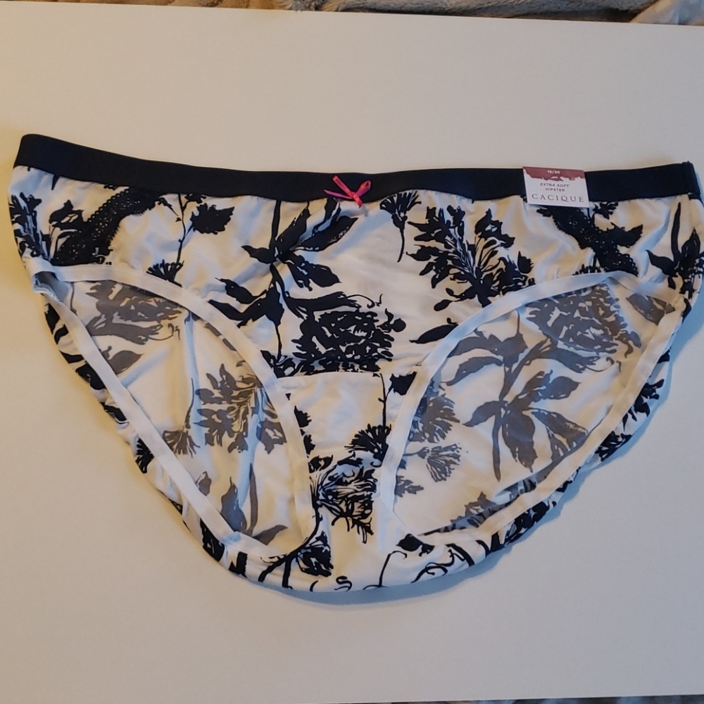 ^2X or 3X Hipster panties blue floral extra soft